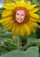 /album/photogallery/deanna-sunflower-1-jpg/